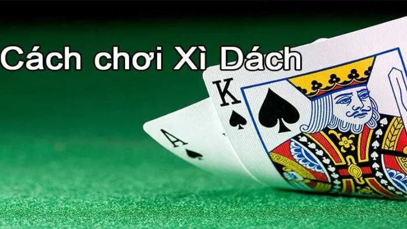 Cách chơi xì dách tại Manclub từ cơ bản đến nâng cao