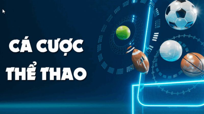 Cược thể thao tại Manclub tỷ lệ cược được cập nhập nhanh chóng chính xác